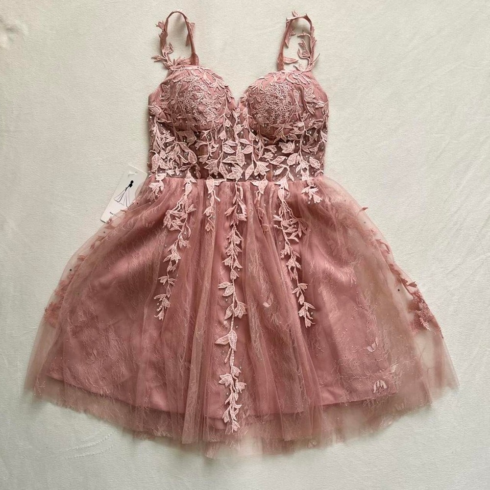 Wear Your Love Mauve Pink Tulle Lace Embroidery Sequins Elegant Mini